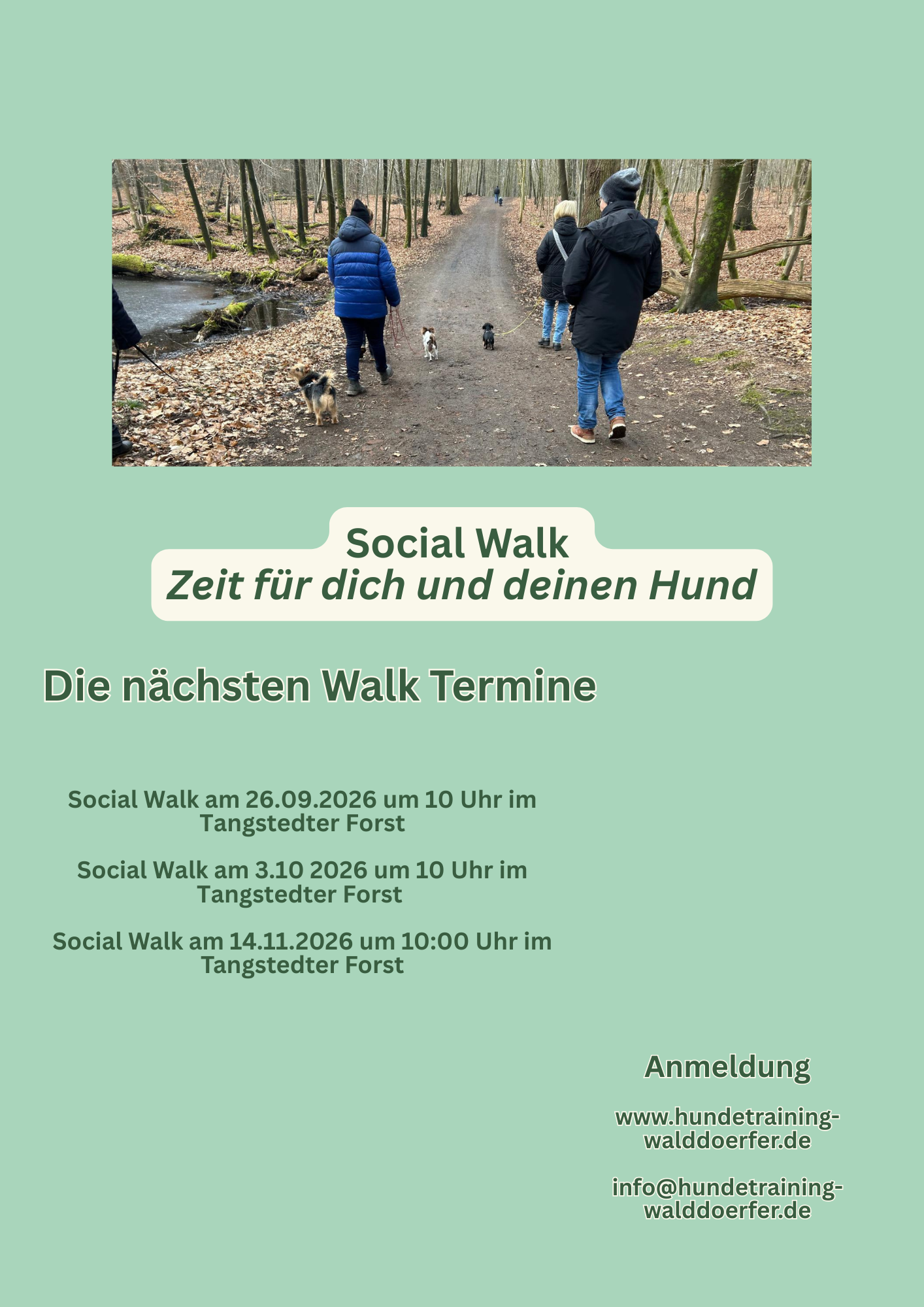 Flyer Social Walks